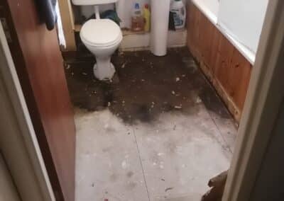 dreamrenovationsteam ratedpeople gallery 022